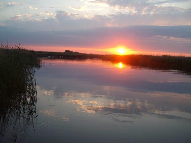 Prin Delta Dunarii - si maine va fi o zi placuta